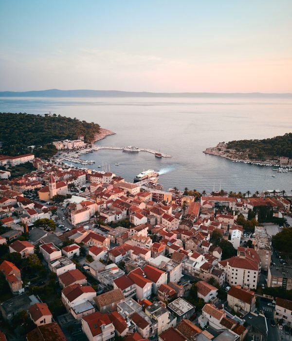 bird's-eye view photography of city
